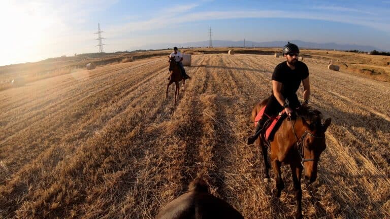 Horse Gallop - Poetry in Motion