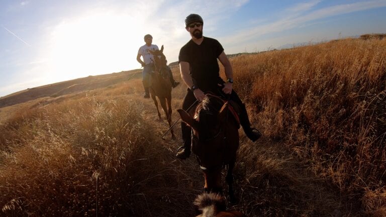 Horse Gallop - Poetry in Motion 8