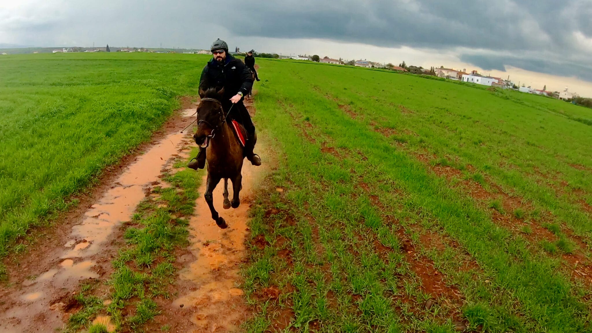 Horse Galloping in the rain